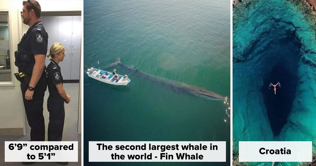 30 Interesting & Surprising Photos That Show How Big Things Really Are