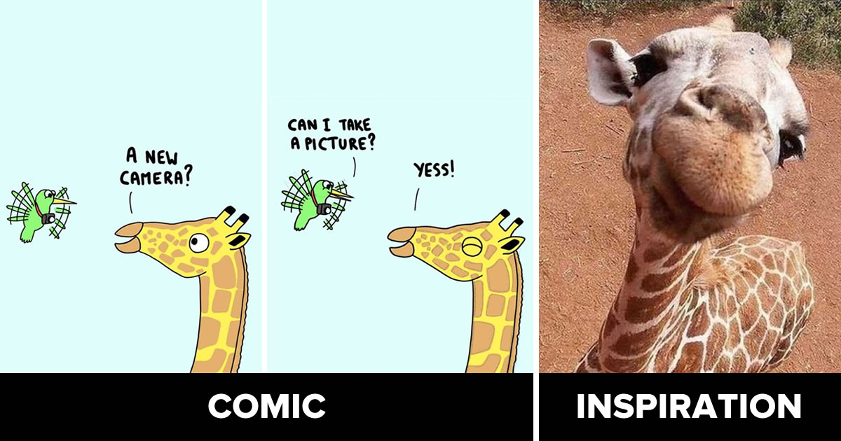 Artist Shares His Backstory Of Popular Animal Comics