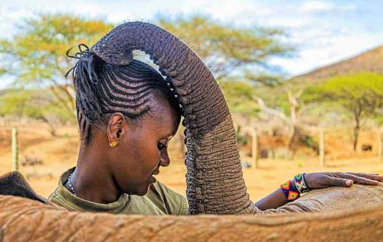 Kenyan wins wildlife photography award