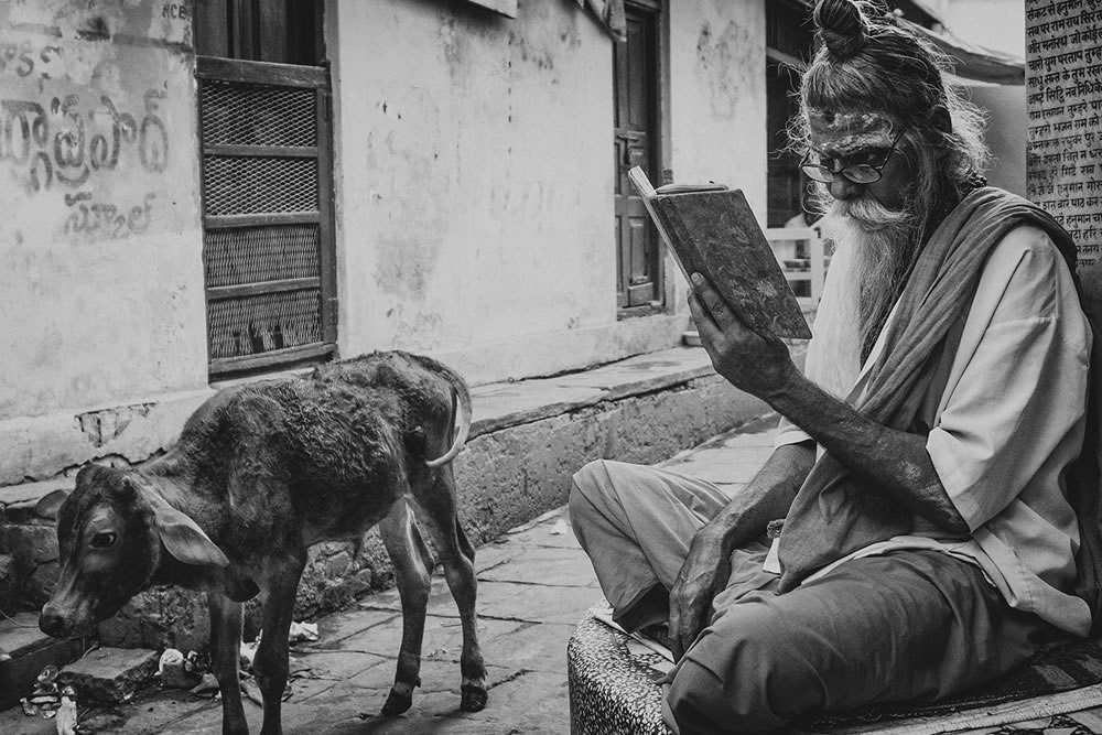 Photographer Supriyo R Sarkar Captured The Bulls Of Varanasi
