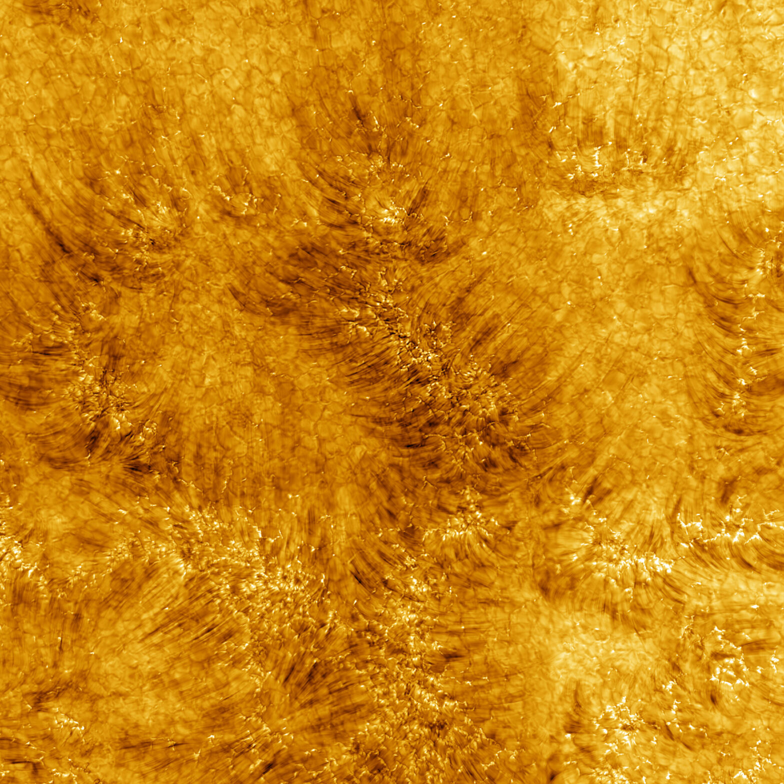 See the Sun's surface like never before in this stunning solar telescope photo