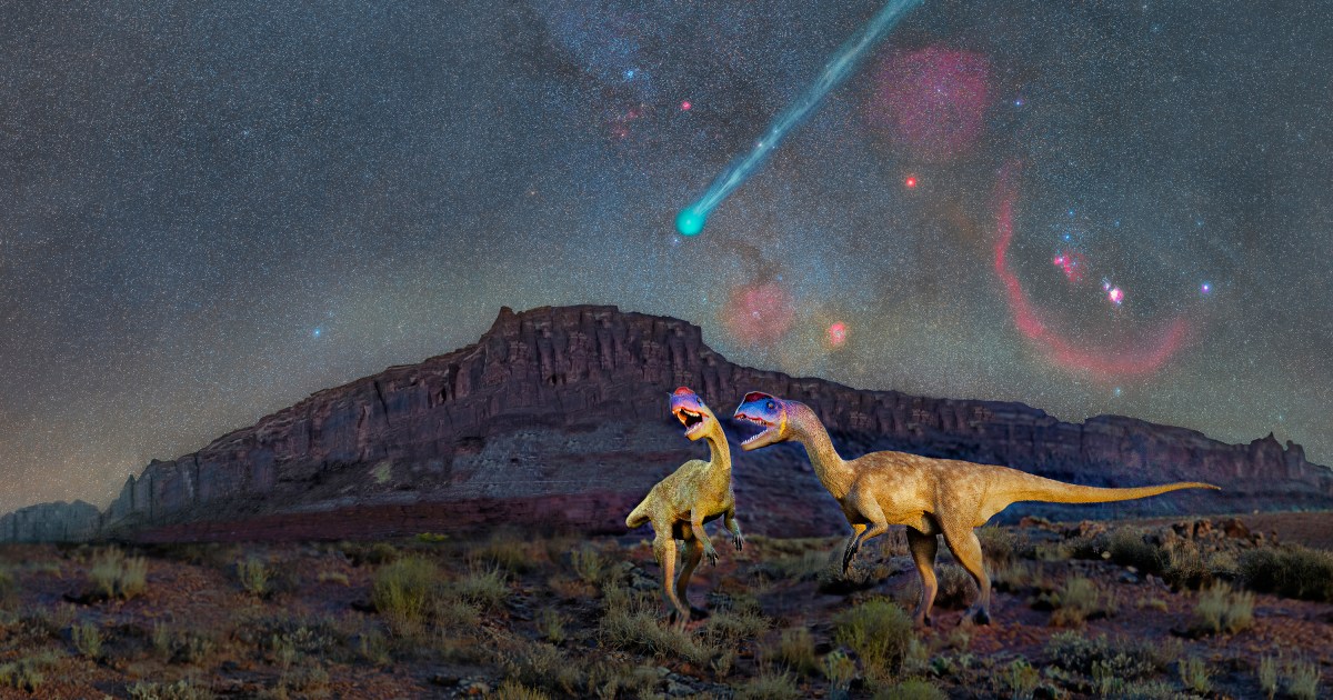 The Extinction of the Dinosaurs via Comet. Dinosaurs at Night #10 – David Lane Astrophotography