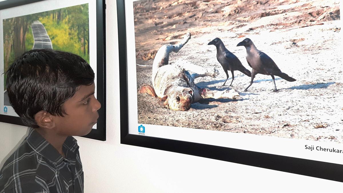 Photo exhibition beckons nature lovers to Kottakkunnu