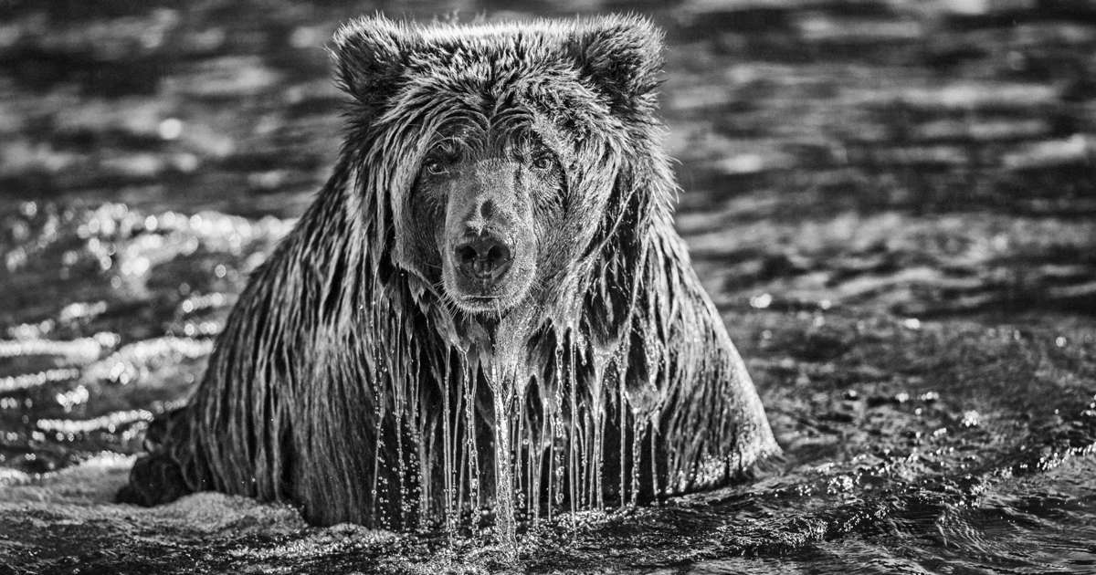 Top nature photographer Paul Nicklen tells all in Masters of Photography course