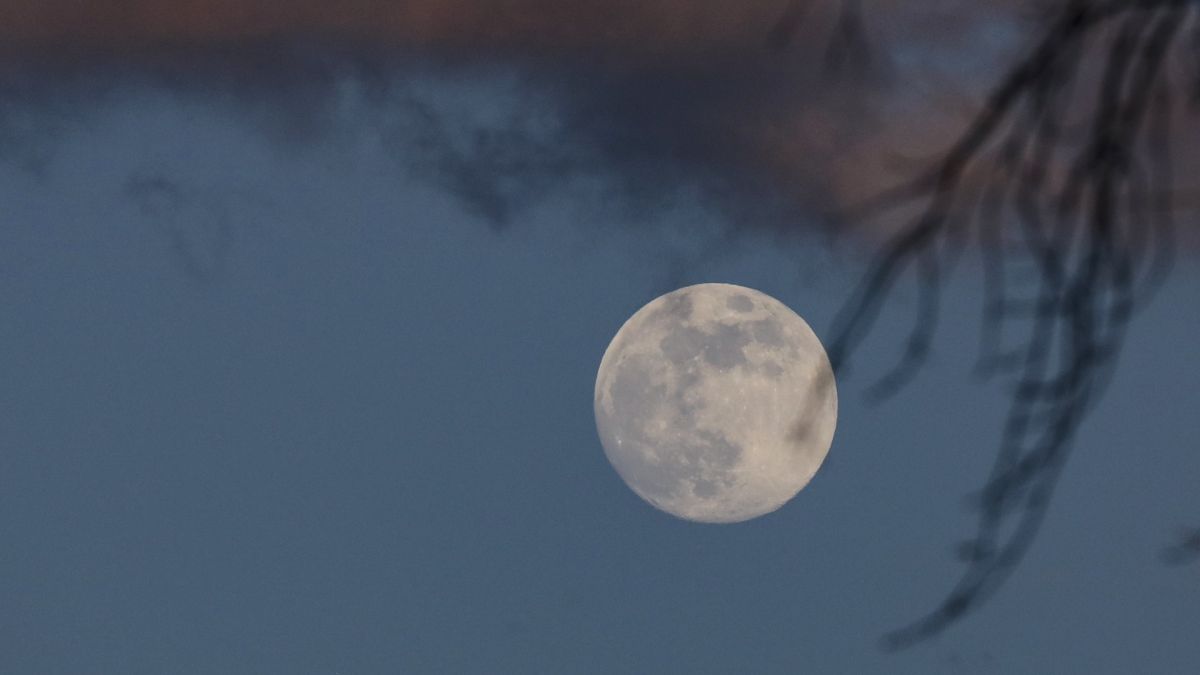 1st full moon of 2023 was a wonderful Wolf Moon worldwide (photos)