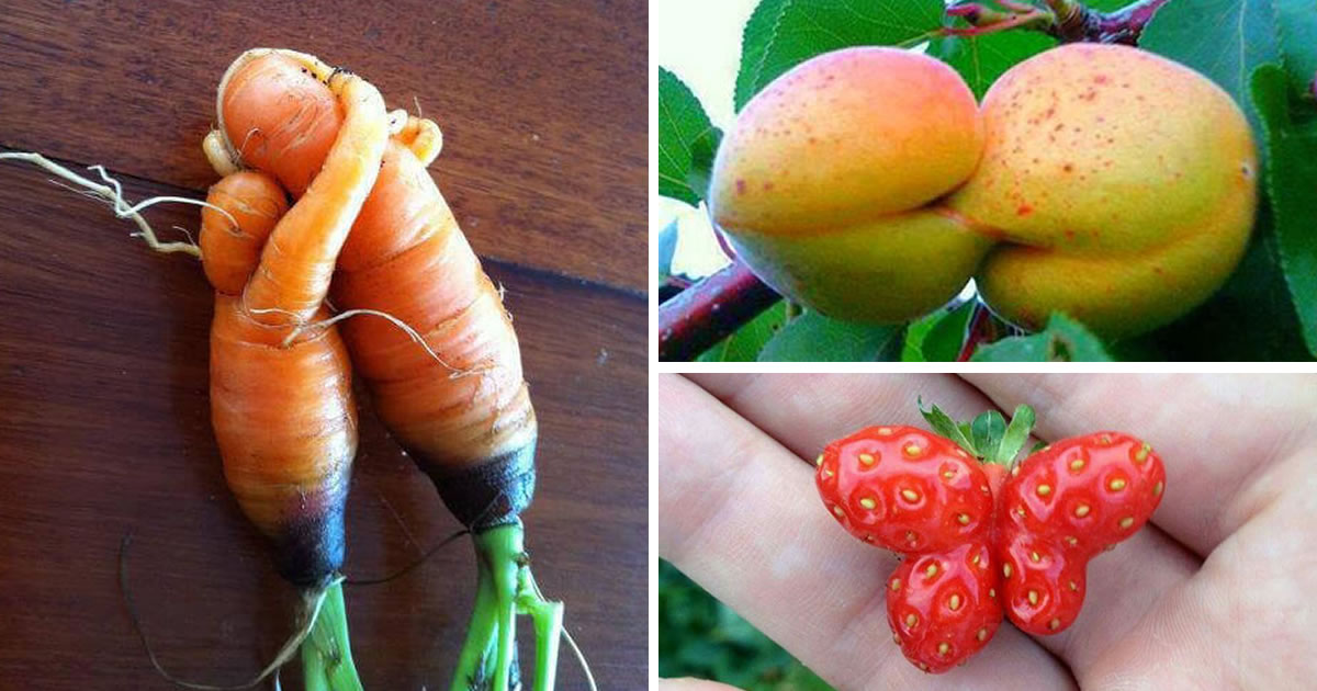 30 Adorable Photos Of Fruits And Vegetables That Seem To Have Come Alive