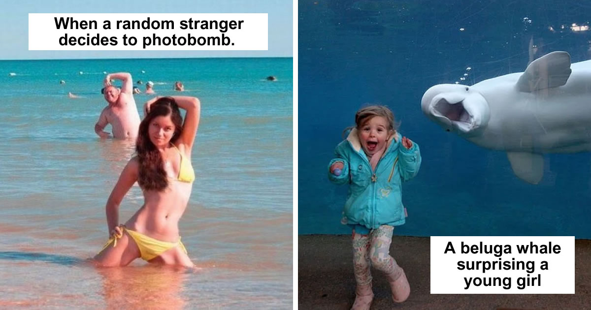 30 Photobombs Of All Time That Turned Out Super Funny