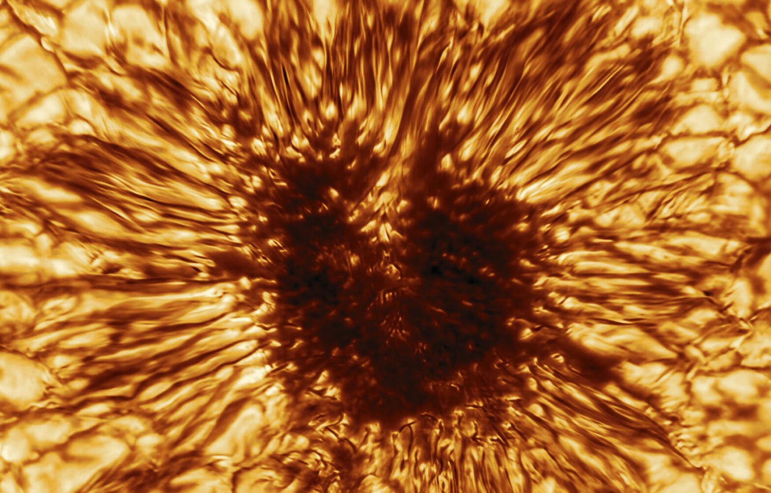 Never-before-seen time-lapse shows sunspot activity peaking on the Sun