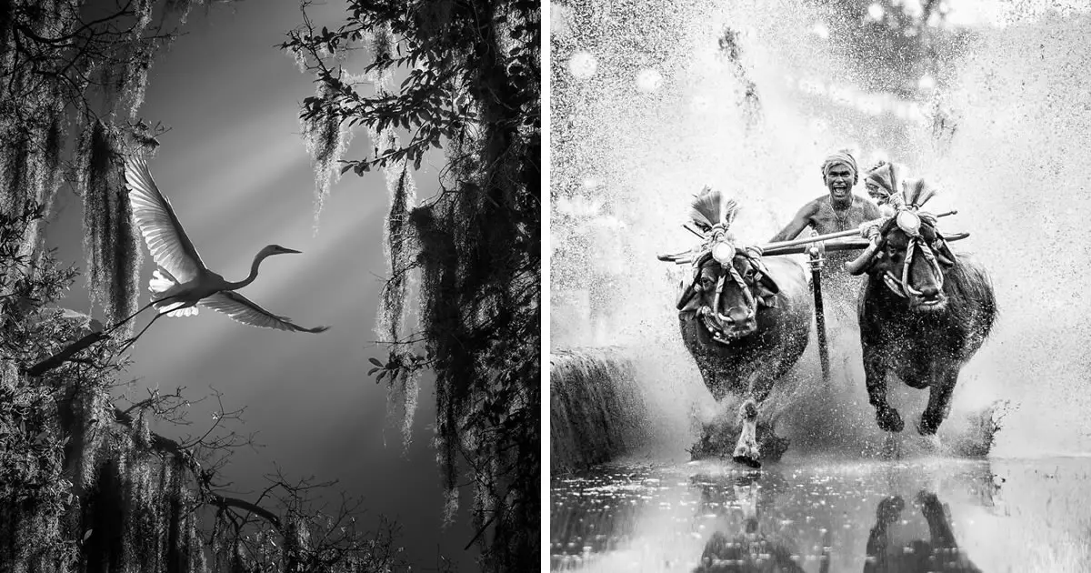10 Winning Photos Of The Independent Photographer’s Black And White Photography Contest 2023