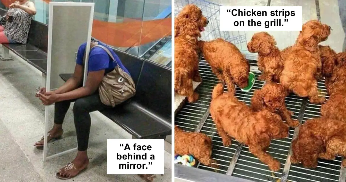 20 Funny Confusing Photos That Will Play With Your Mind