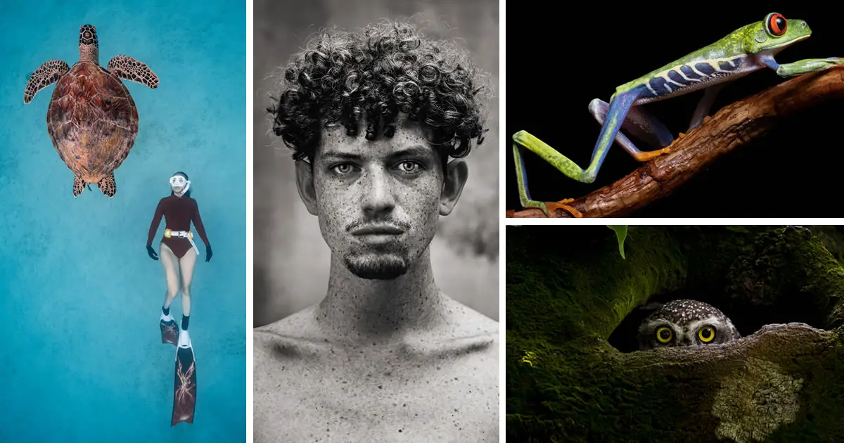 25 Incredible National Winners Of Sony World Photography Awards