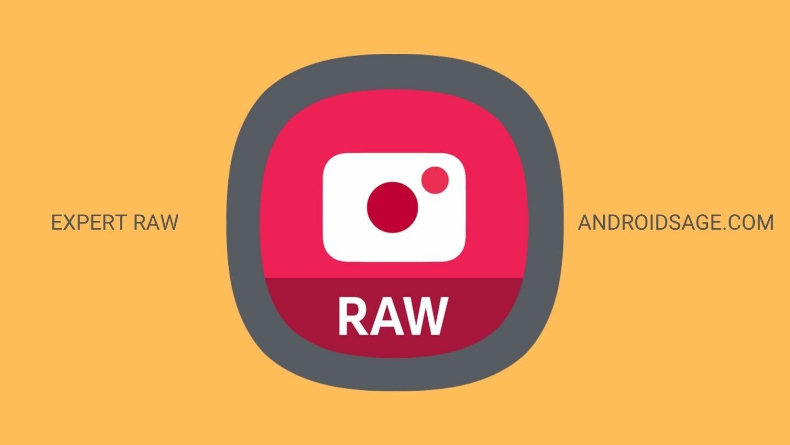 Download Expert RAW APK from Samsung Galaxy S23 Ultra