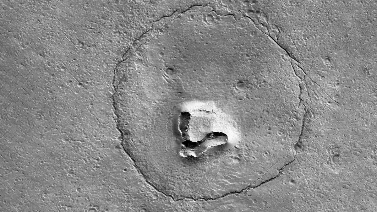 Is there life on Mars? Well, there IS a giant bear's face