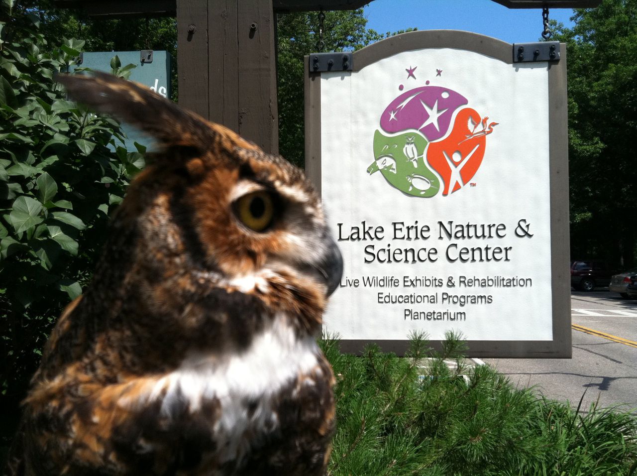 Lake Erie Nature & Science Center offers internships and closer contact with the animals
