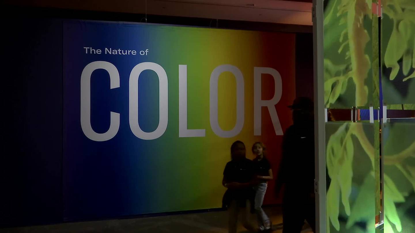 Nature of Color at Fernbank: Is red powerful? Is blue calming? What do colors make you feel? – WSB-TV Channel 2