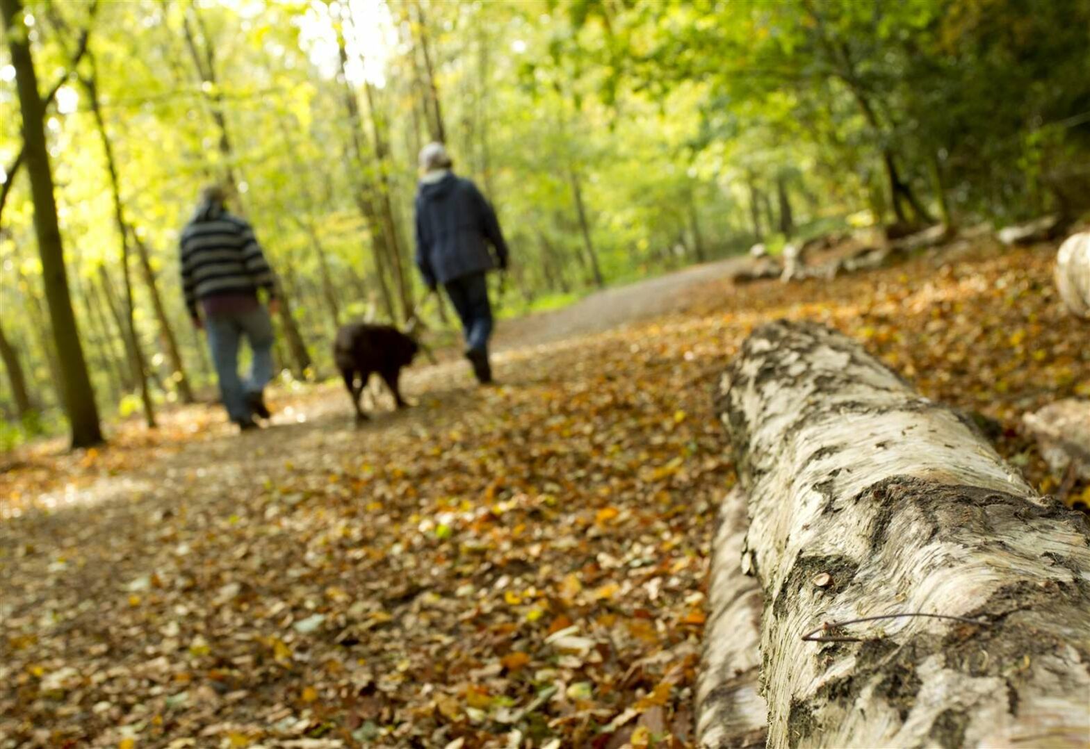 Changes to dog policy for nature reserves