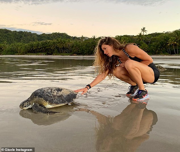 Stunning view: Gisele Bundchen, 42, took to Instagram to share several scenic snaps of herself getting in tune with nature on Thursday; the image is a throwback as she still has her wedding ring from Tom Brady on
