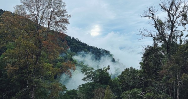 More than just entertainment: Genting Highlands is becoming a nature-lover's heaven starting this September, Lifestyle News