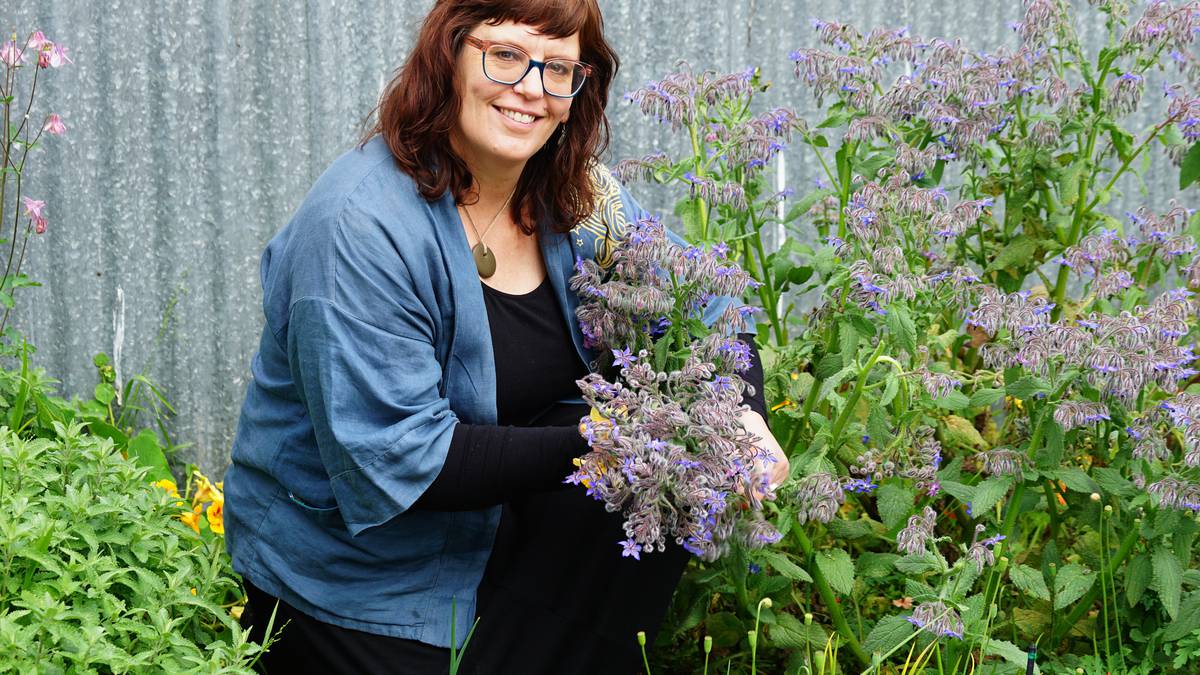 A forager’s life: Helen Lehndorf - making connections with nature and community