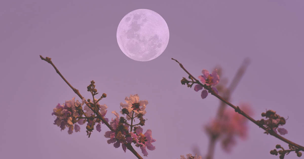 Pink Moon rises overnight tonight! Catch April's full moon in all its glory