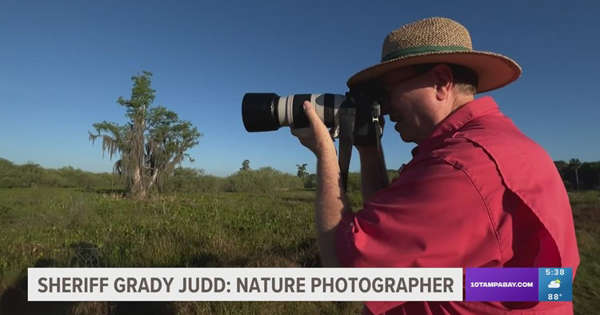Polk County sheriff's hobby of nature photography