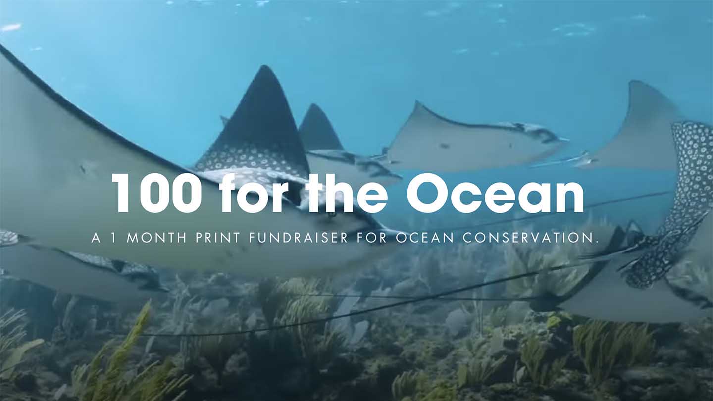 100 For The Ocean print fundraiser goes live