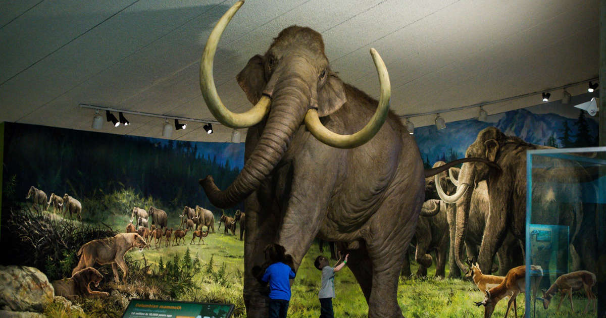 Admission to LA County ‘nature’ museums is set for a 20 percent hike