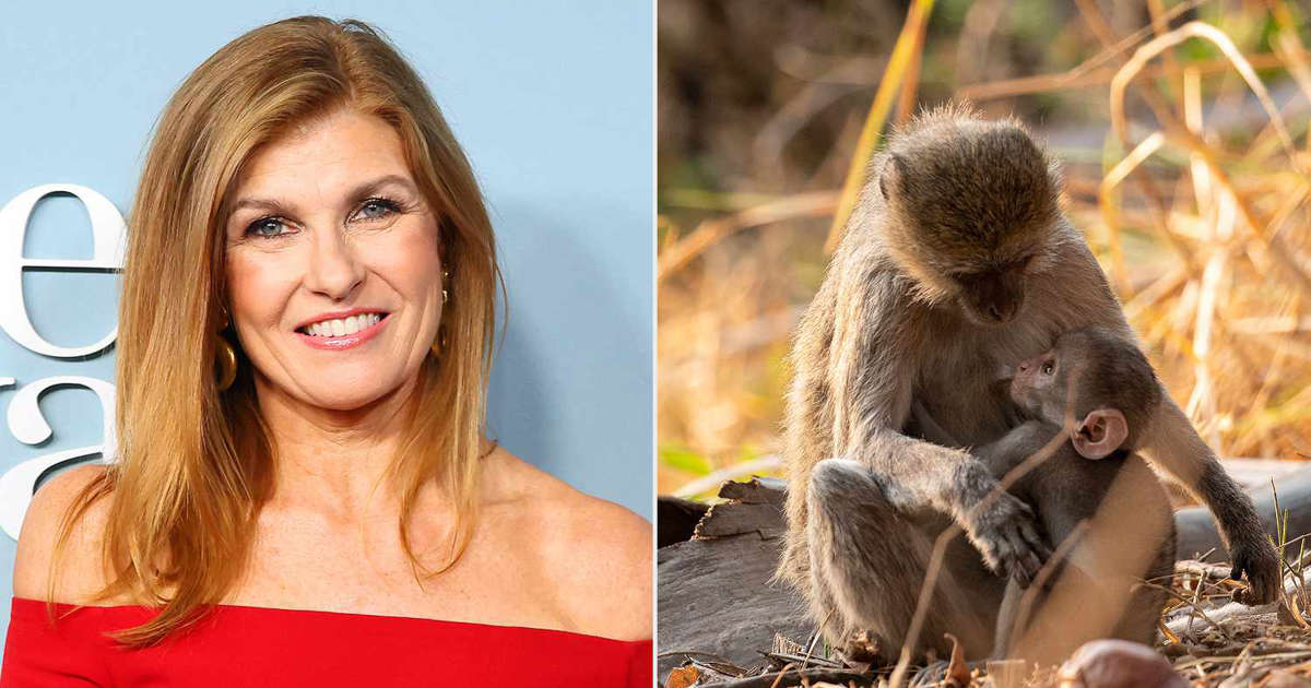 Connie Britton Shares How Single Moms in Nature Inspire Her Parenting: 'Trust Your Instincts'