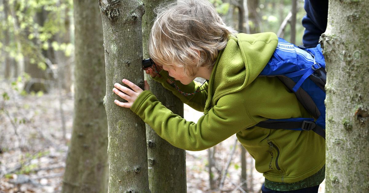 Project invites children to submit photos of Adirondack Park nature