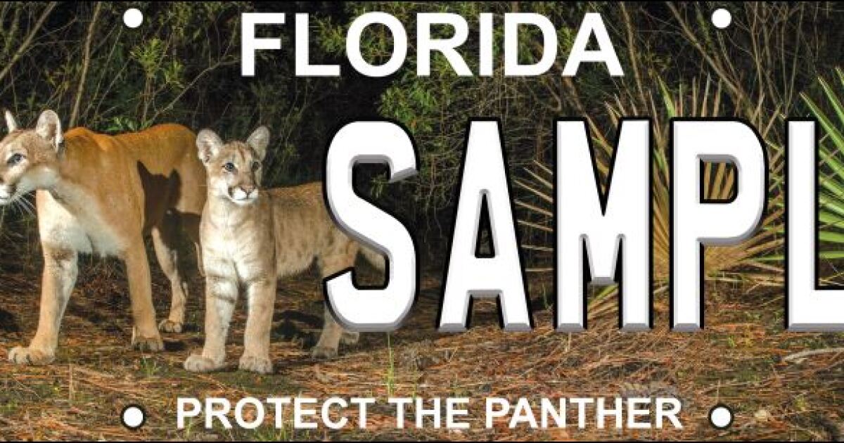 Tampa nature photographer adds fresh look to popular panther plate