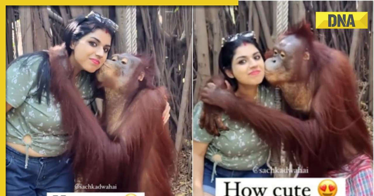 Adorable photo session between monkey and woman goes viral, internet reacts