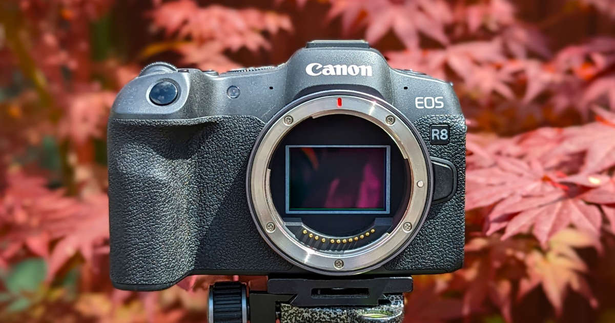 Canon EOS R8 review