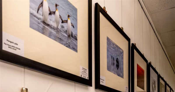 Newbury’s long-running photography club now showing at Greenham Control Tower