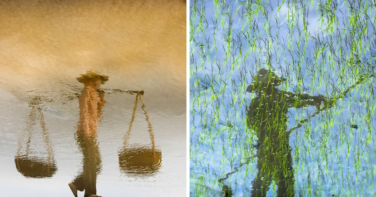 These 10 No-Filter Photos that Appear to Be Impressionist Paintings Will Make You Rethink Everything You Know About Photography