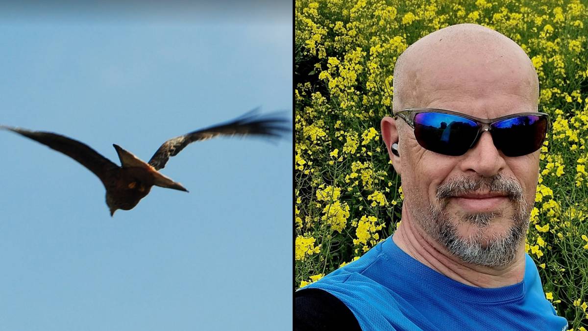 Dad thinks he's taken photo of 'pterodactyl' dinosaur flying over nature reserve in Buckinghamshire