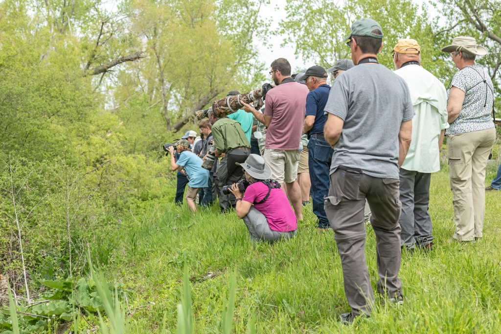 Politeness matters when photographing nature – Estes Park Trail-Gazette