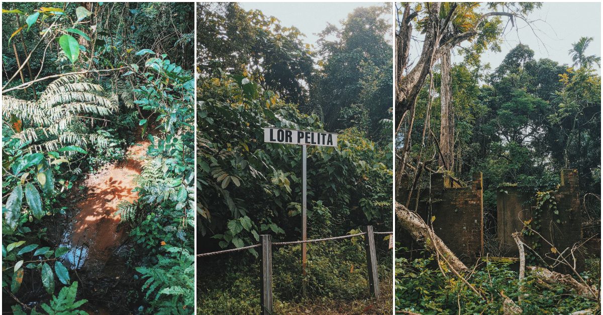 Secret City: Thomson Nature Park – Singapore’s former farm and Grand Prix track