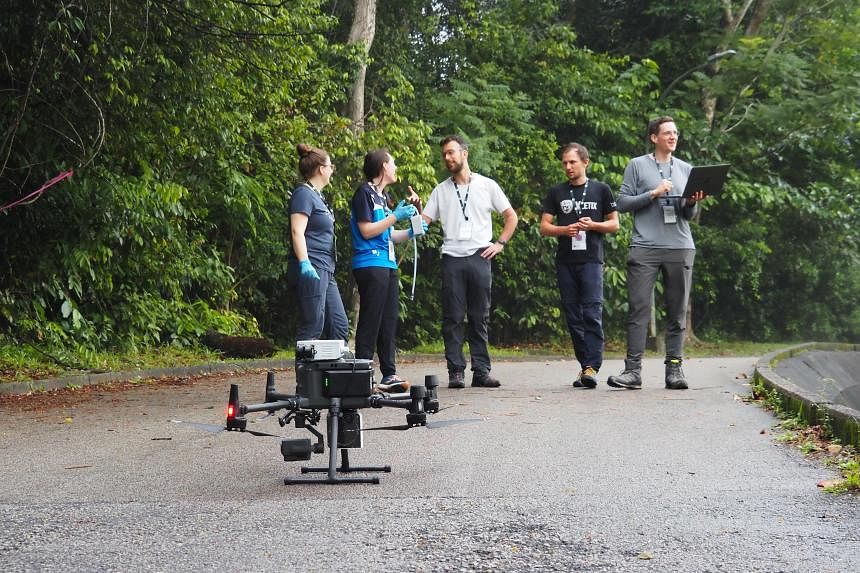 Six XPrize finalists emerge after testing conservation tech in Central Catchment Nature Reserve