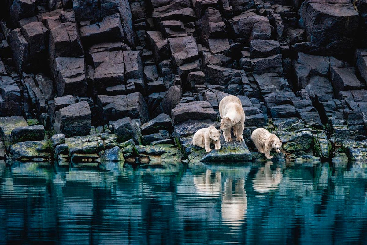 Stunning Nature Photography Show Extended for Climate Awareness