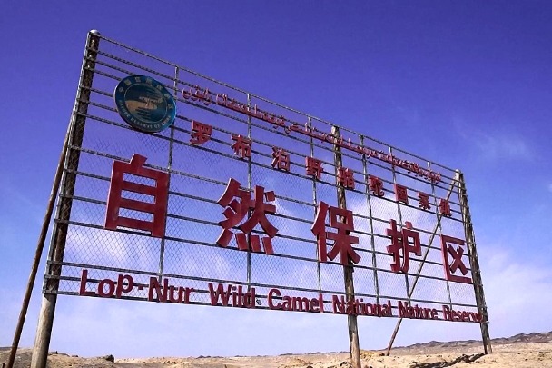 Trespassers in Xinjiang nature reserve found dead