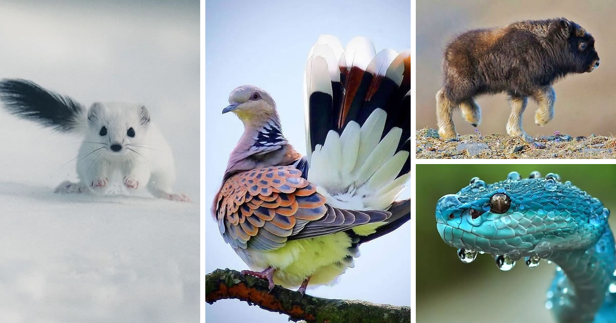 30 Astonishing Nature Photos That Showcase Its Breathtaking Beauty