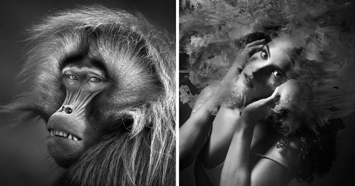 30 Inspiring Winning Photos Of Black And White Photo Awards 2023