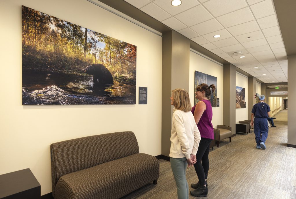 At Vail Health, nature photography helps with the healing process