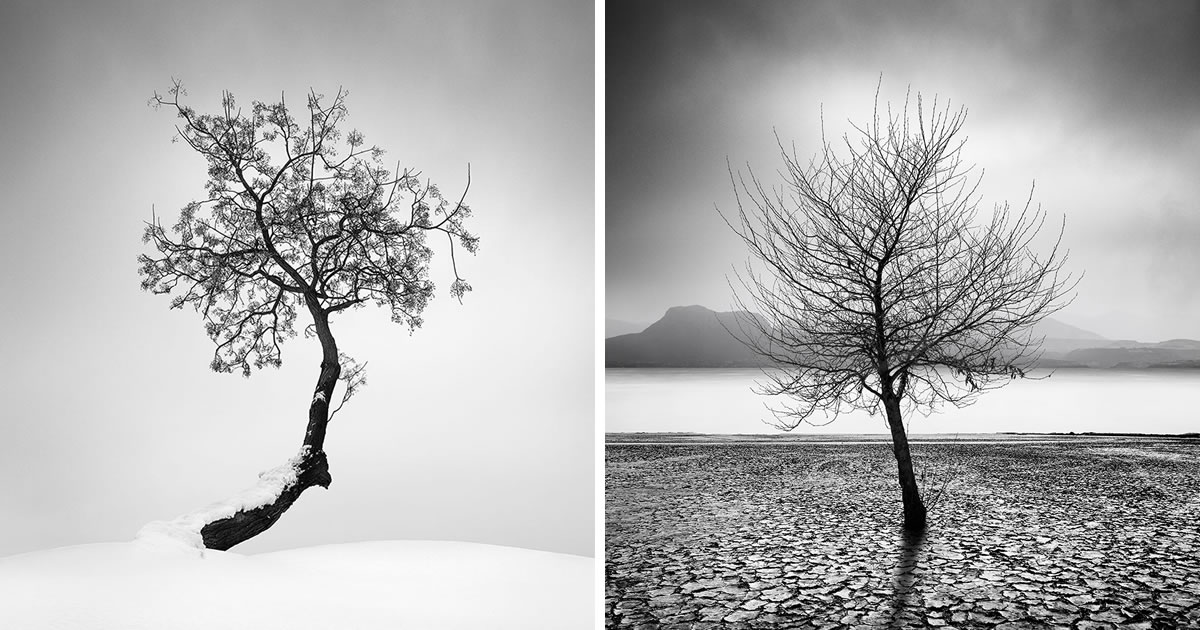 Photographer George Digalakis Captured Soulful Series Of Life Of A Tree