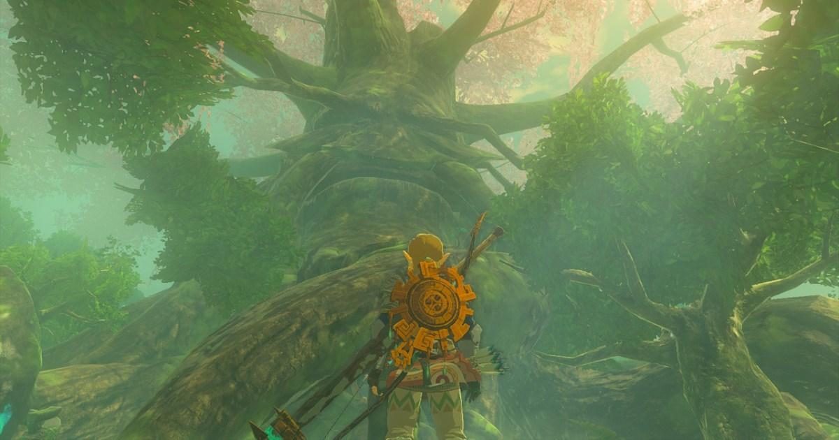 Photography of Zelda Part 2: My journey through Tears Of The Kingdom