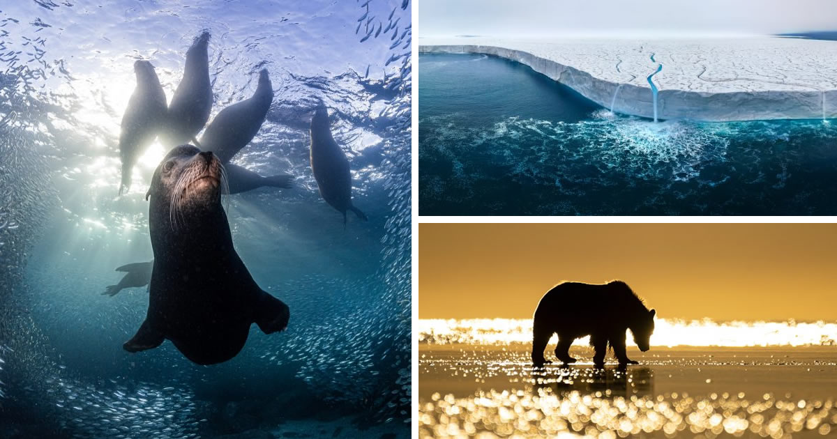 33 Stunning Winning Photos Of The Nature TTL Photographer Of The Year 2023