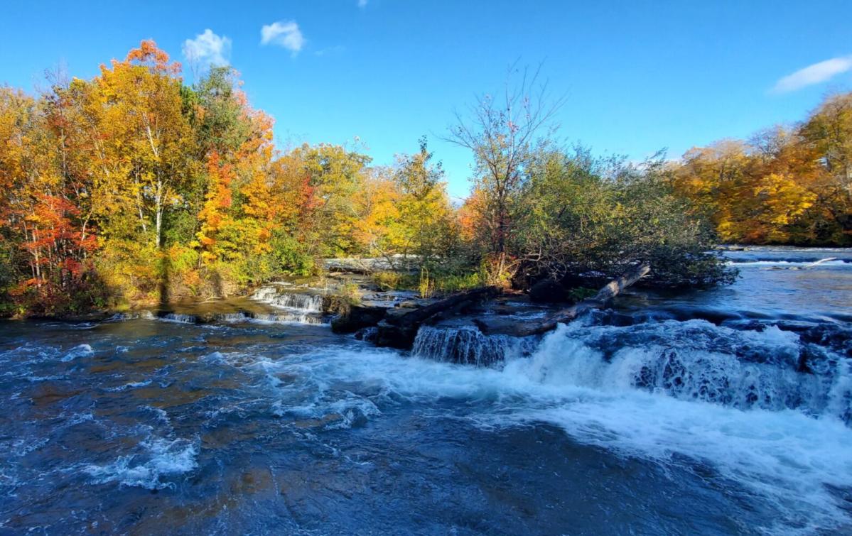 8 Amazing Spots in Upstate New York for Nature Lovers