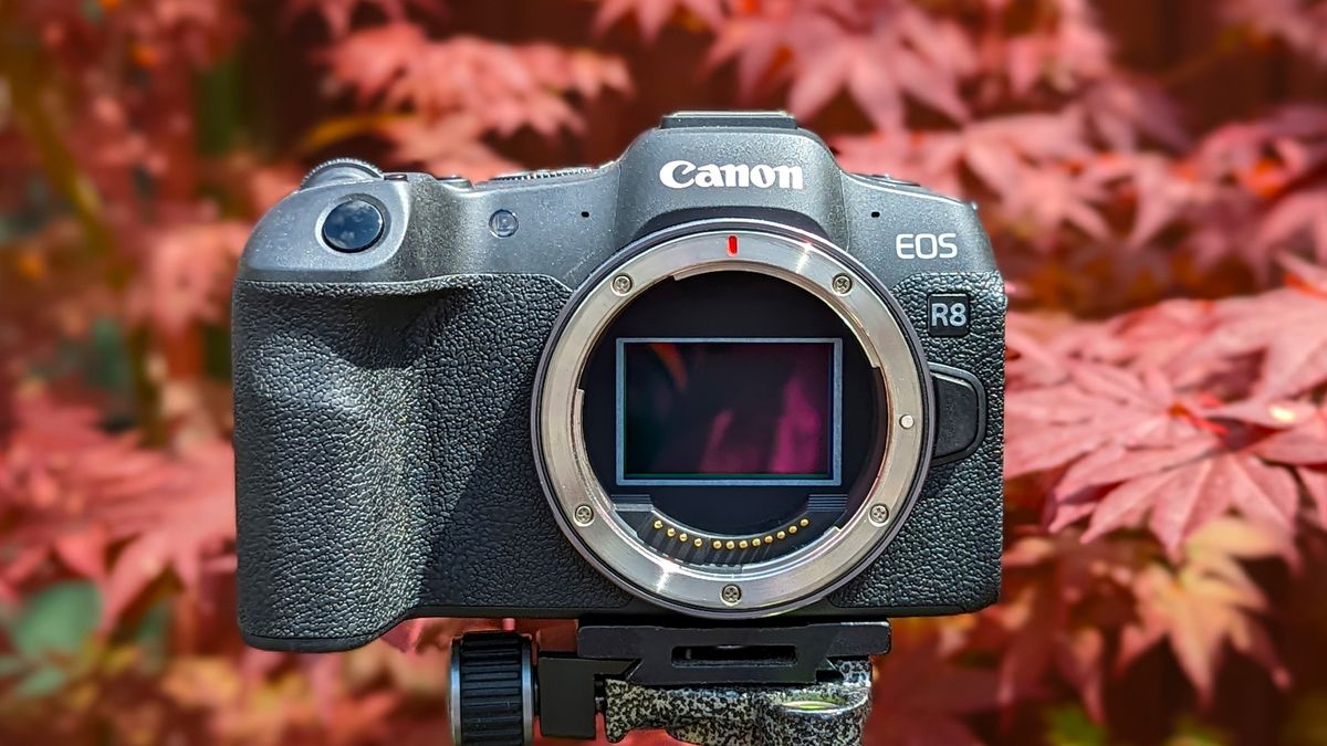 The Canon EOS R8 atop a tripod without a lens at a discount this amazon prime day
